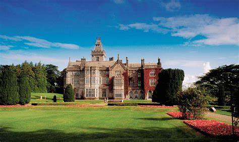 1731377935267614.jpg 11.12.jpg